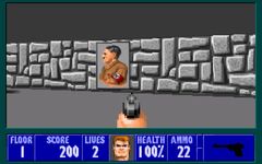 une photo d'Ã©cran de Wolfenstein 3D (PC) sur PC